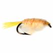 scud (shrimp) big horn